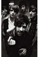Foals