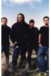 Seether