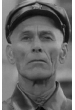 Николай Воронин