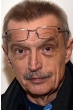 Эмиль Викликки