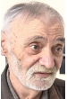 Владимир Гутнов