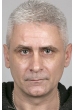 Стив И Гилберт