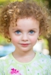 Juju Journey Brener