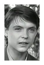 Виталий Сегеда
