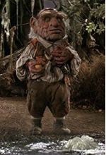 Шари Уайзер