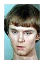 Андрей Николаев