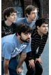 Animal Collective