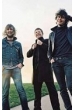 The Fratellis