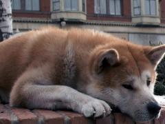 Душевные фильмы