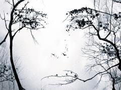 Фильмы триллеры про катастрофы