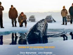 Фильмы триллеры про китов