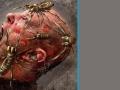 Фильмы ужасов про гигантских пауков
