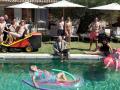 Немецкие фильмы про лошадей