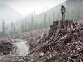 Фильмы биографии про экологию