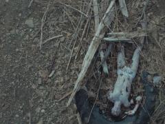 Фильмы про обмен телами
