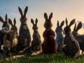 Американские сериалы про видения