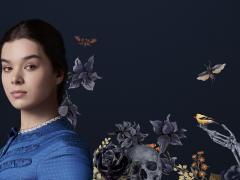 Сериалы биографии